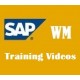SAP WM TRAINING VIDEOS 80 $